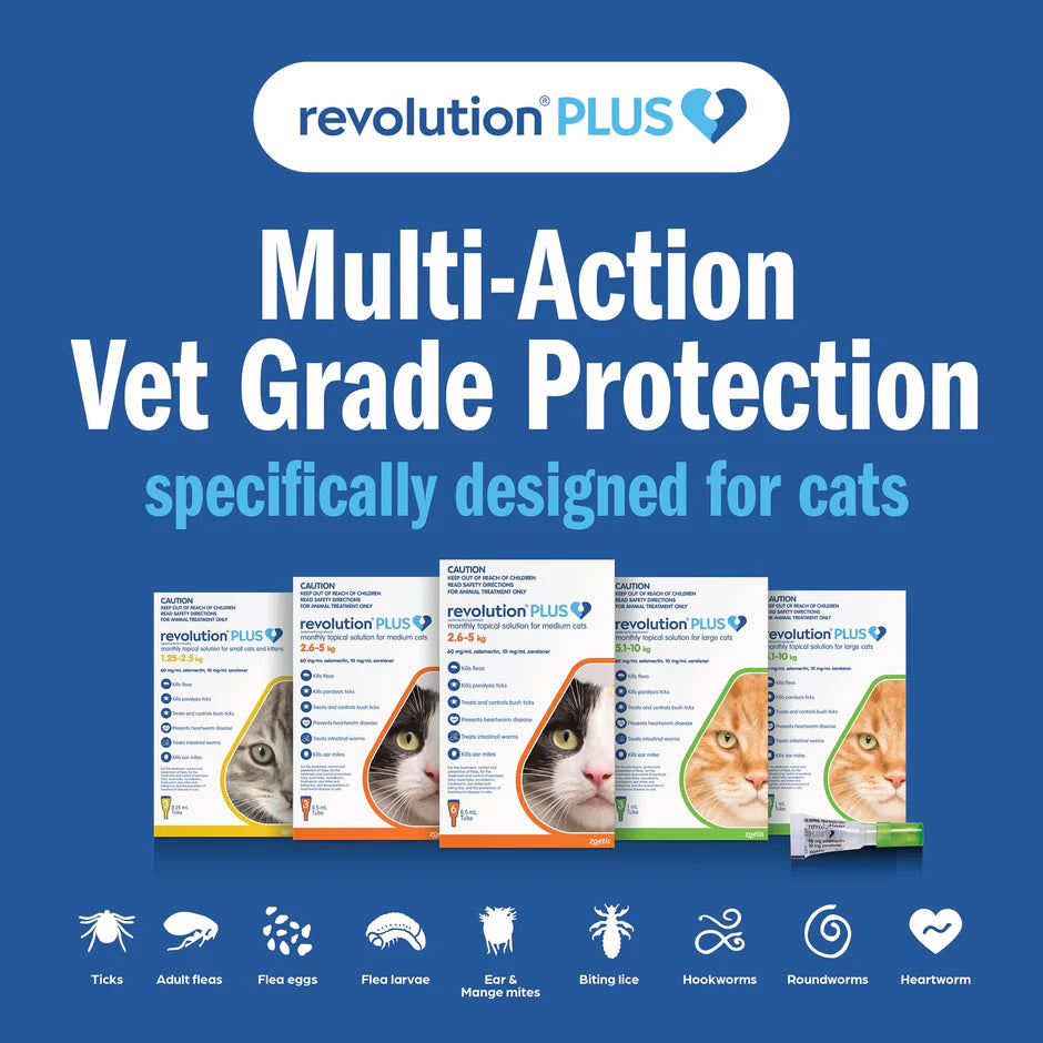 Revolution Plus Medium Cat 2.6-5kg (3 Pack)