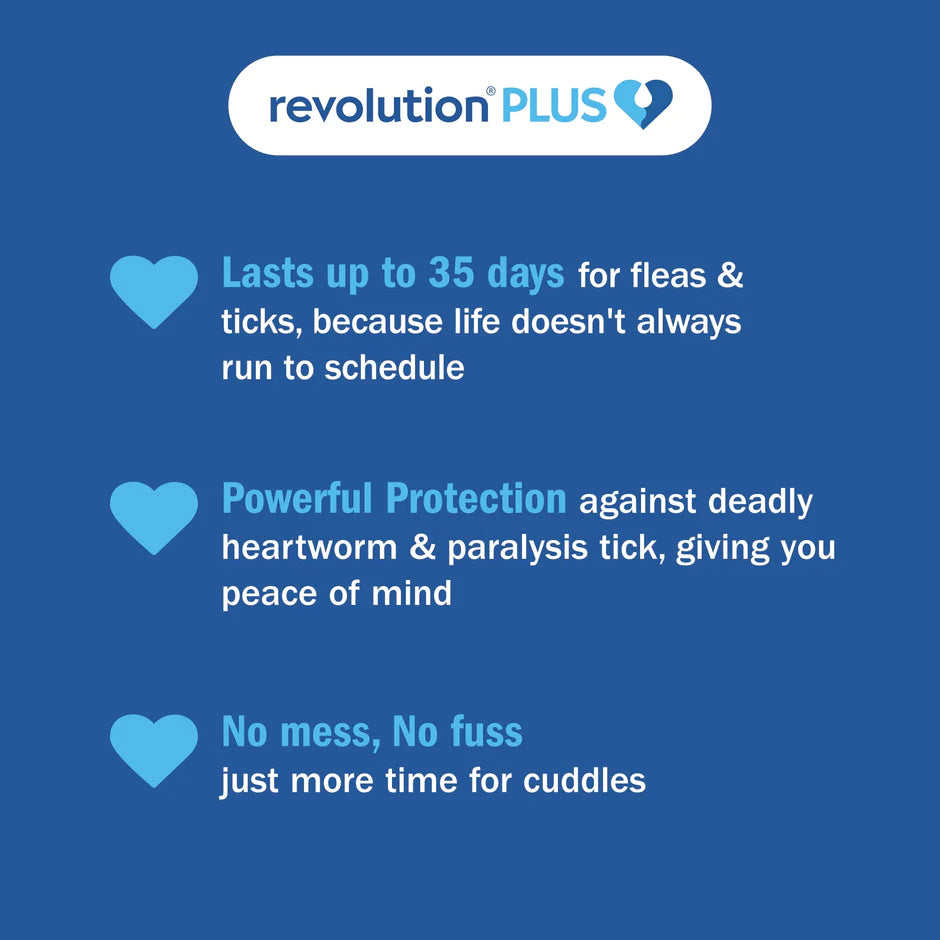 Revolution Plus Medium Cat 2.6-5kg (3 Pack)
