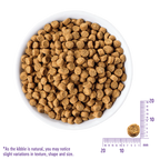 WELLNESS Core Grain Free Salmon & Herring Indoor Dry Cat Food 2.27kg