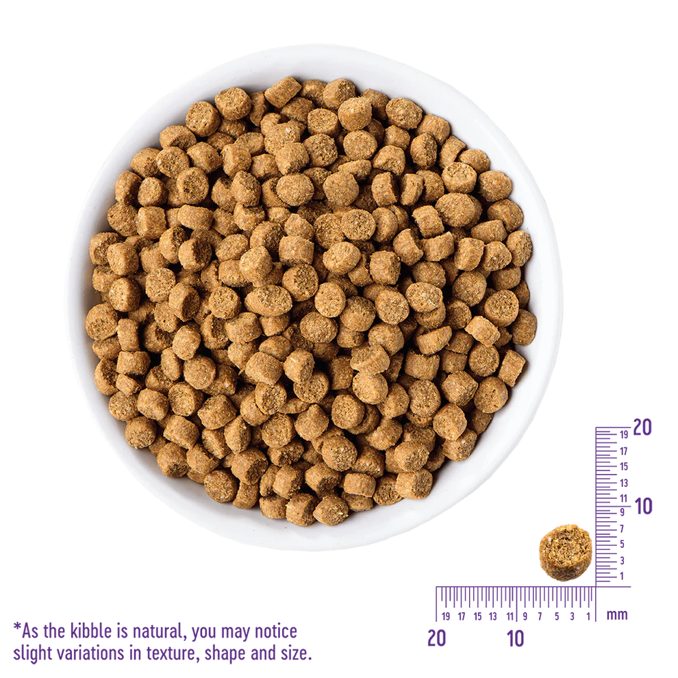 WELLNESS Core Grain Free Salmon & Herring Indoor Dry Cat Food 2.27kg