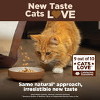 WELLNESS Core Grain Free Salmon & Herring Indoor Dry Cat Food 2.27kg