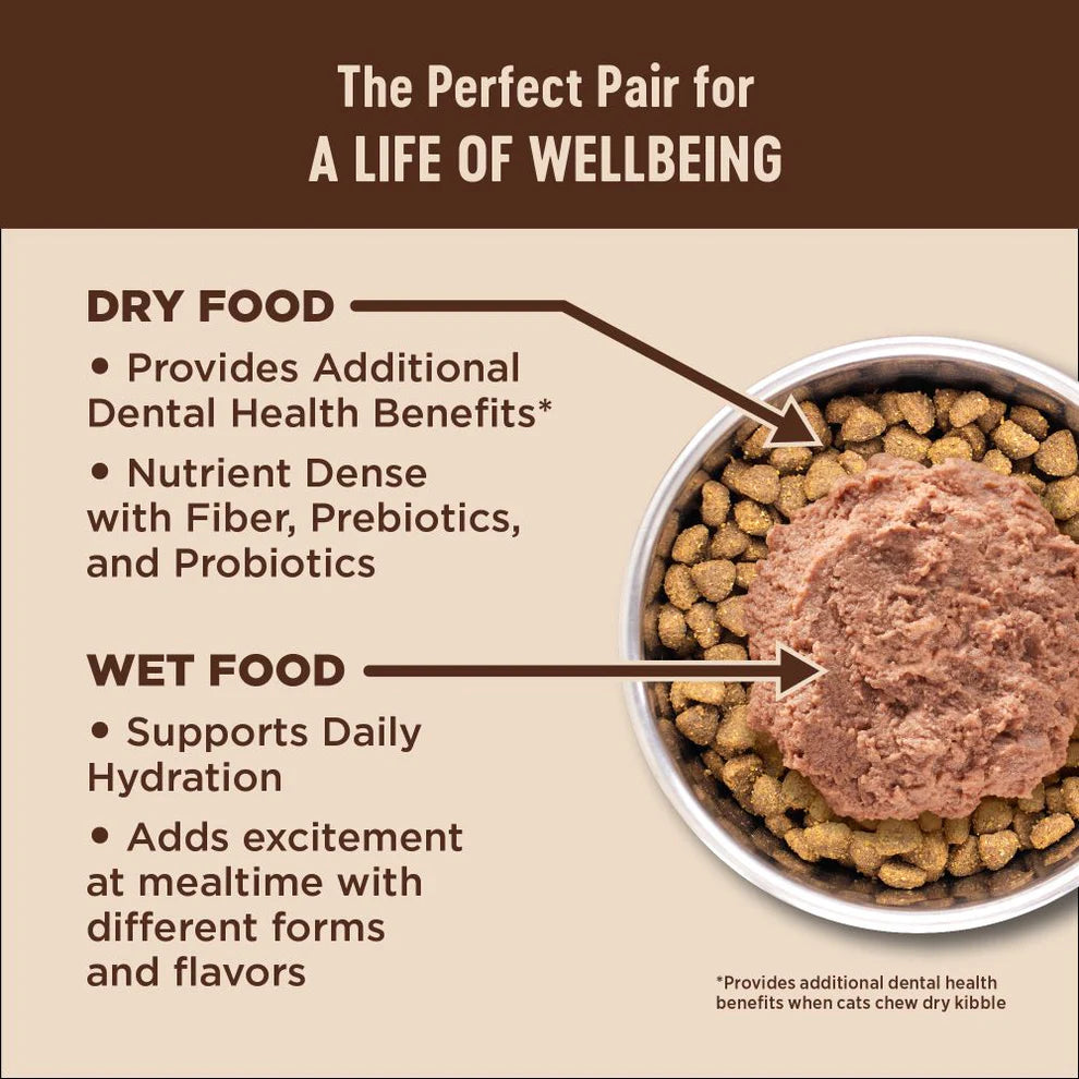 WELLNESS Core Grain Free Salmon & Herring Indoor Dry Cat Food 2.27kg