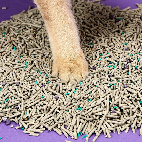 PETKIT 5 In 1 Mixed Cat Litter 3.6kg