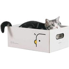 PURROOM New Cat Scratching Box - Chick