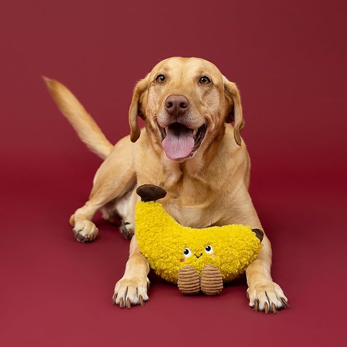 Fringe Studio Head Over Peels For U Plsh Dog Toy