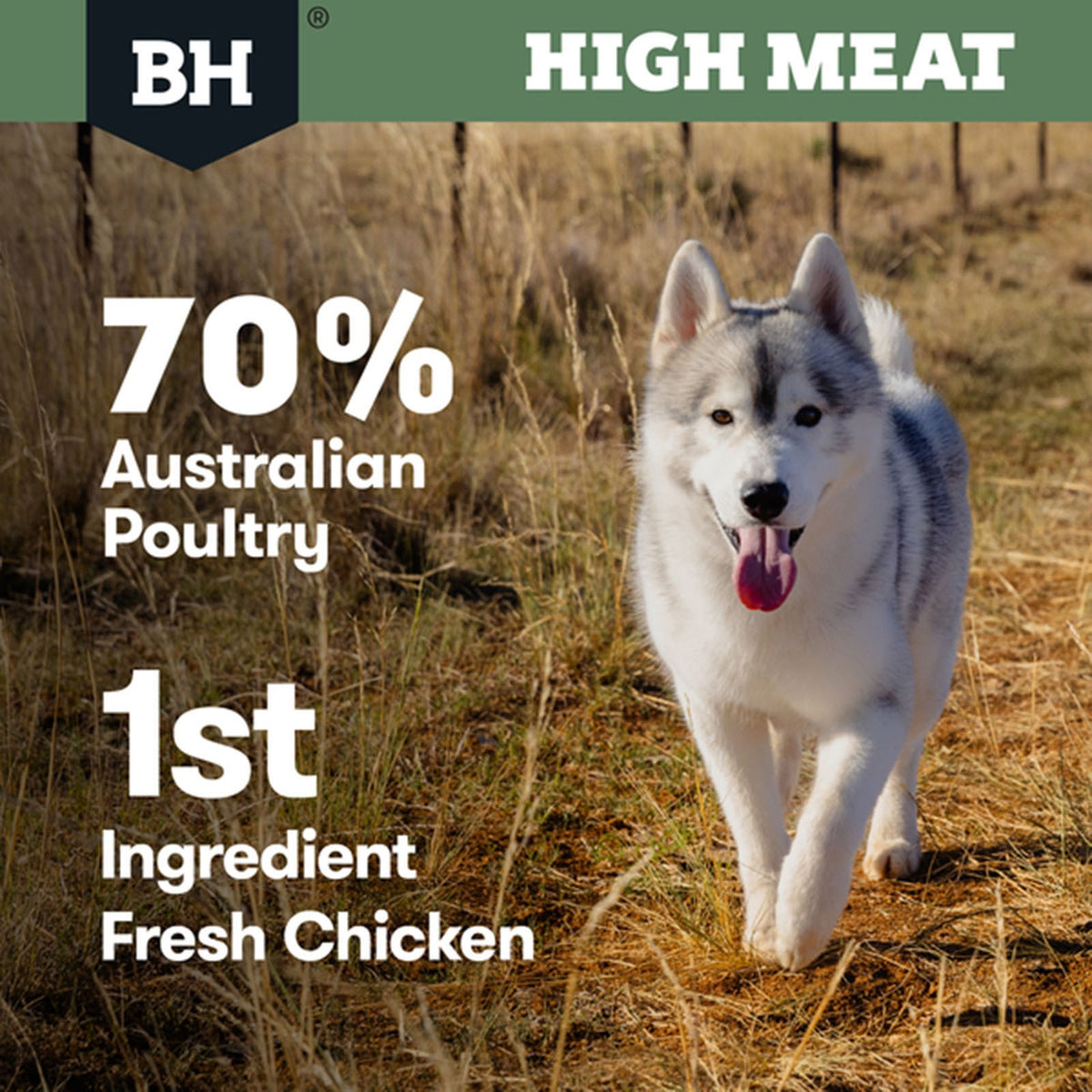 BLACK HAWK HIGH MEAT AUSTRALIAN POULTRY RECIPE 10KG