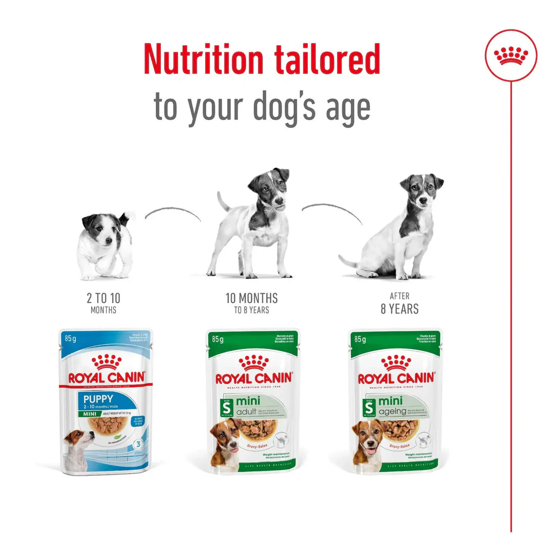 Royal Canin Mini Ageing Wet Dog Food