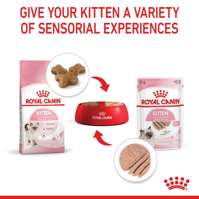 Royal Canin Kitten Wet Food in Loaf 12 x 85g