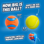 Chuckit Ultra Ball Medium Dog Toys 6cm 2pk
