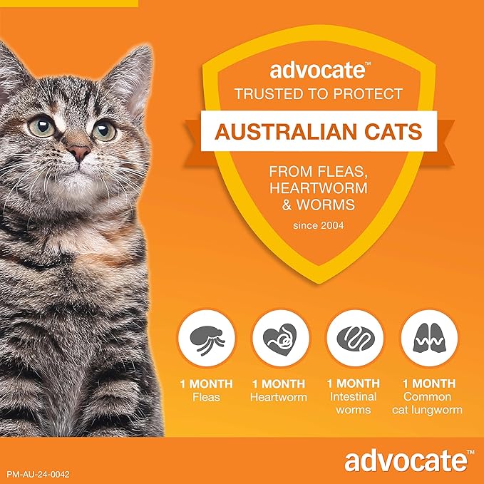 Advocate Spot-on Flea and Worm Treatment for Kittens and Small Cats up to 4kg 1pk