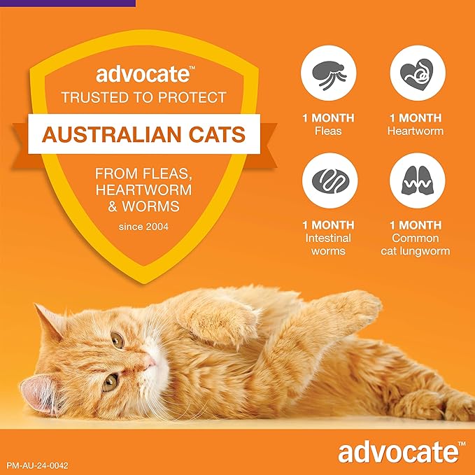 Advocate Spot-on Flea and Worm Treatment for Cats over 4kg 1pk