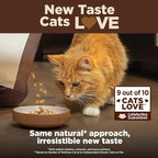 Wellness CORE+ Adult Dry Cat Food for Indoor Cats, Turkey & Chicken Meal (2.27kg)