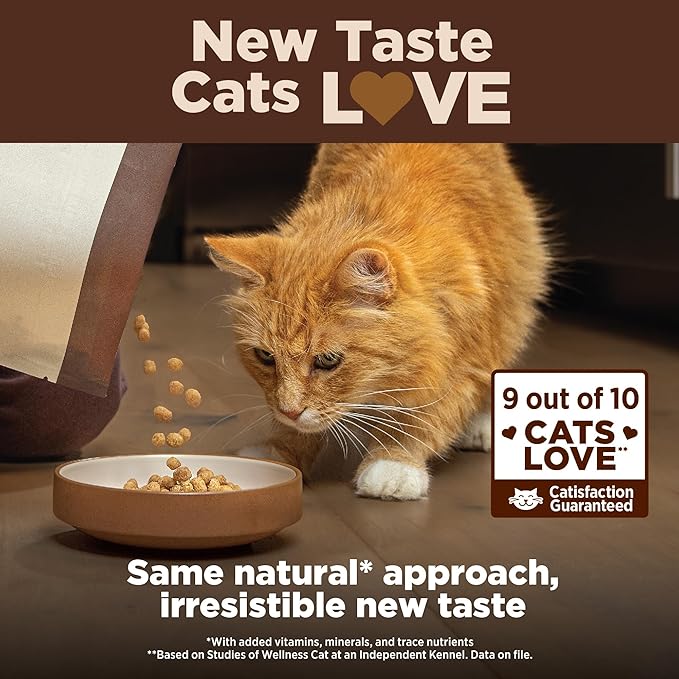 Wellness CORE+ Adult Dry Cat Food for Indoor Cats, Turkey & Chicken Meal (2.27kg)