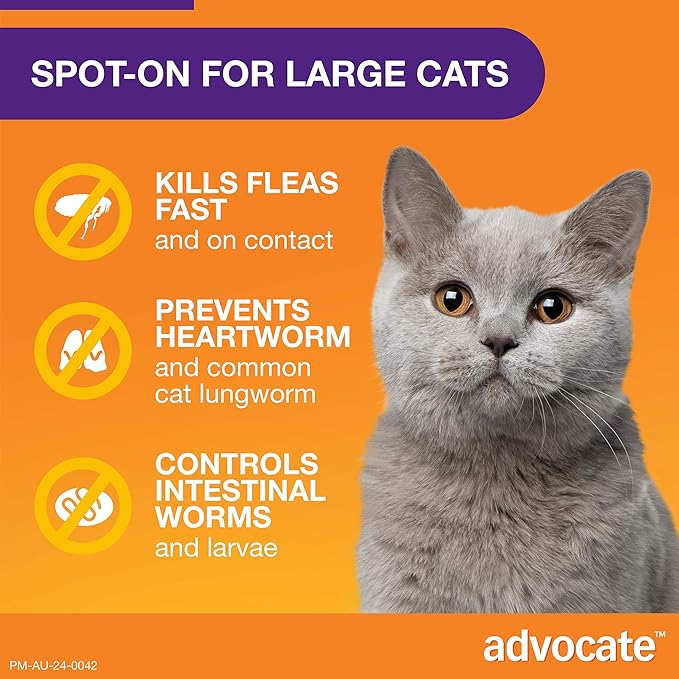 Advocate Spot-on Flea and Worm Treatment for Cats over 4kg 1pk