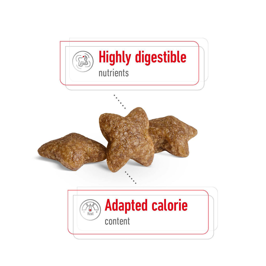 Royal Canin Mini Adult Dry Dog Food 2kg