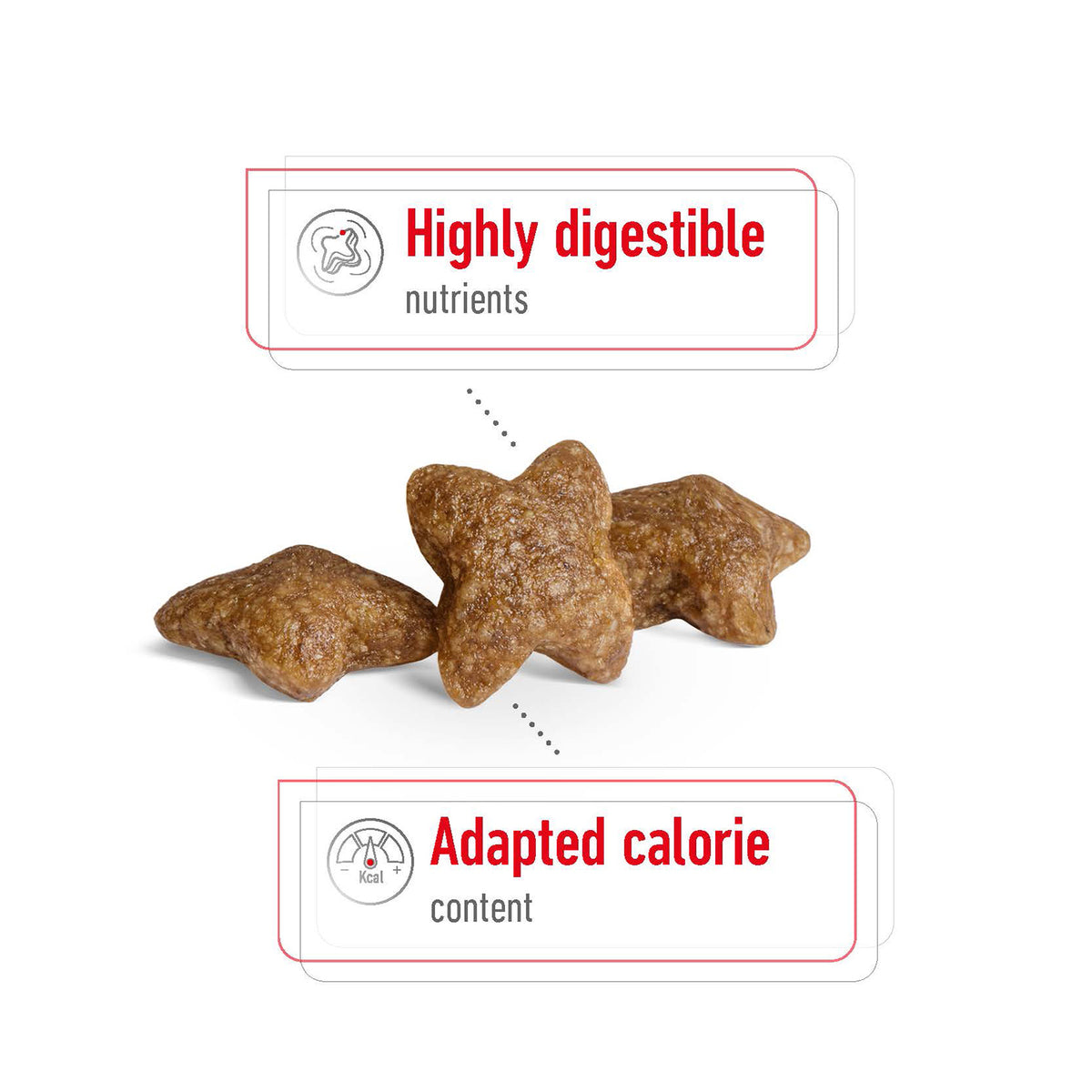 Royal Canin Mini Adult Dry Dog Food 2kg