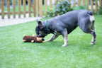 Rosewood Chubleez Spike The Hedgehog Dog Toy