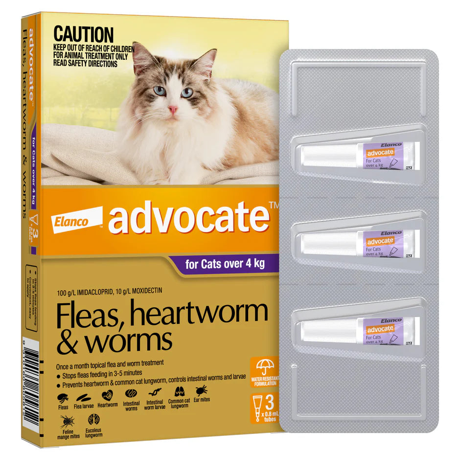 Advocate Flea & Wormer Spot On For Cat Over To 4Kg, 3 Pack