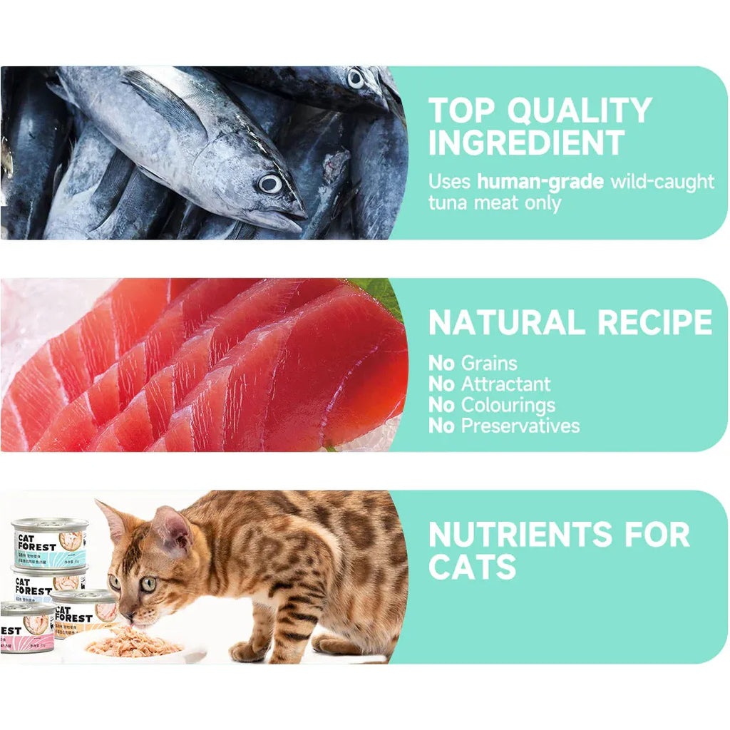 CAT FOREST Premium Tuna White Meat With Salmon In Jelly Cat Canned Food 85G X 24