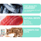 CAT FOREST Premium Tuna White Meat With Salmon In Jelly Cat Canned Food 85G X 24