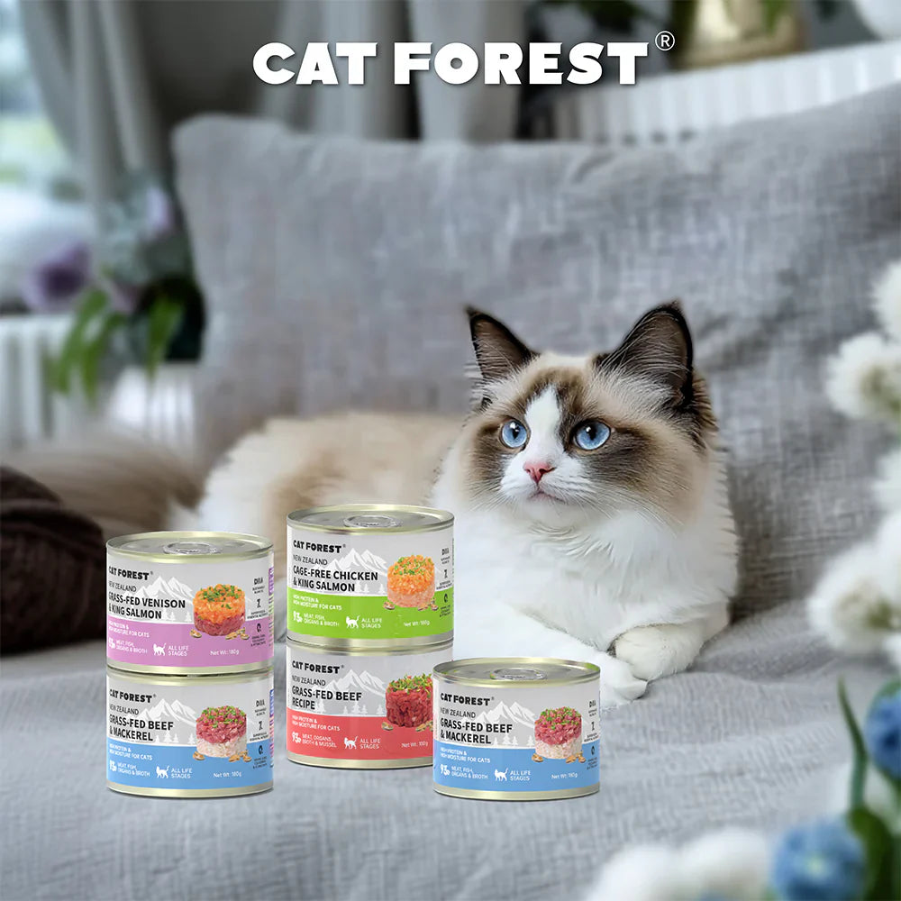 CAT FOREST Cage-Free Chicken & King Salmon Wet Cat Canned Food 180g x 12