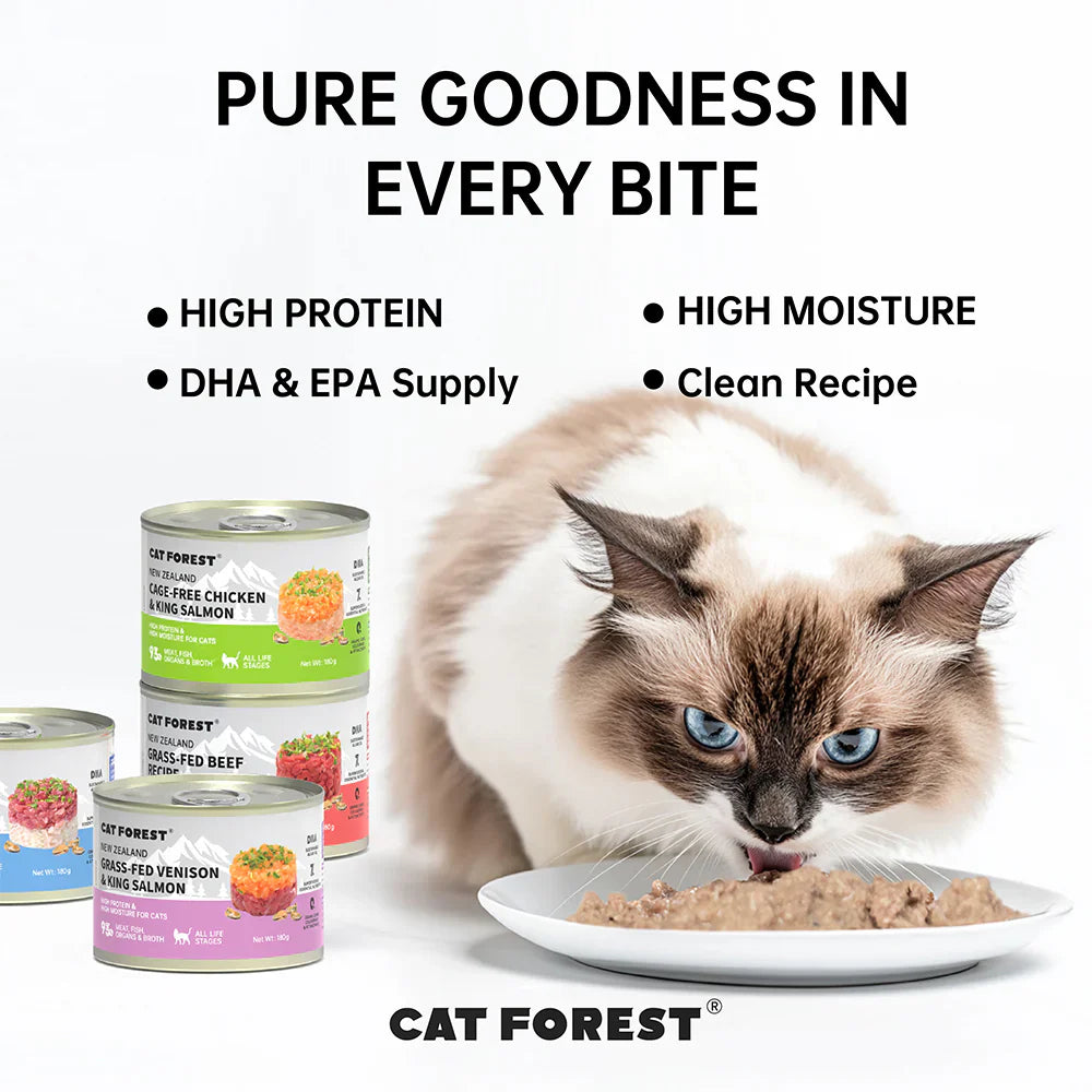 CAT FOREST Cage-Free Chicken & King Salmon Wet Cat Canned Food 180g x 12