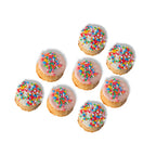 The Pet Project Birthday Cake Cookie Dog Treats