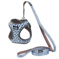 CAAT HARNESS & LEASH COMBO DASH