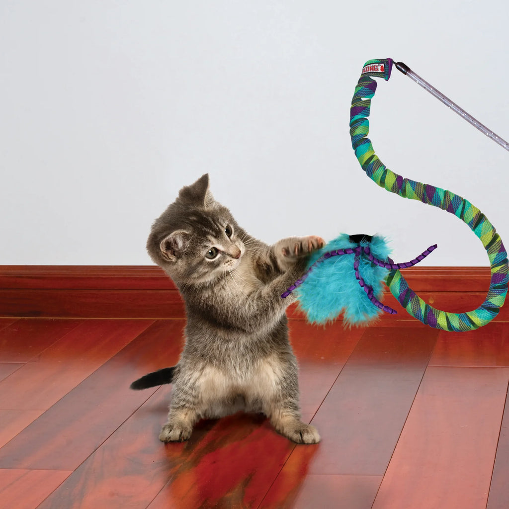 KONG CAT CURLZ TEASER