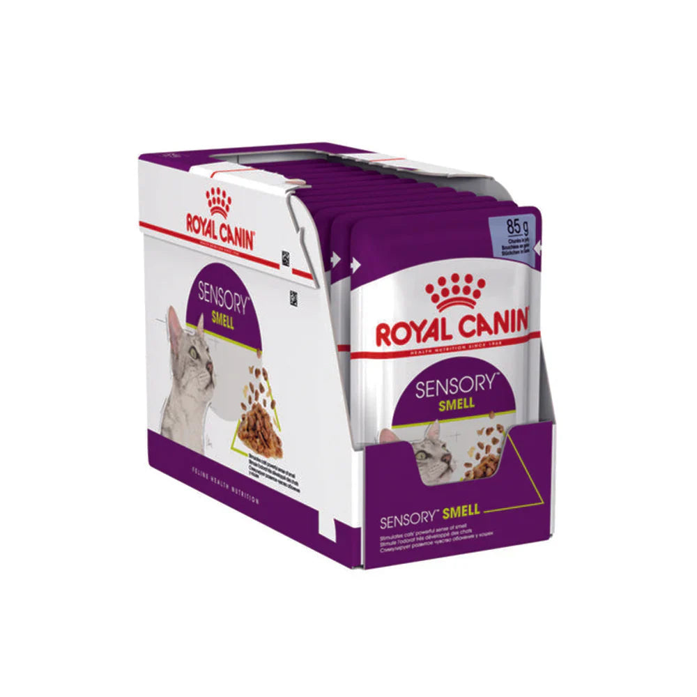 Royal Canin Adult Sensory Smell Wet Cat Food Pouches in Jelly 12 x 85g