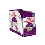 Royal Canin Adult Sensory Taste Wet Cat Food Pouches in Jelly 12 x 85g