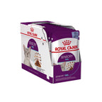 Royal Canin Adult Sensory Feel Wet Cat Food Pouches in Jelly 12 x 85g