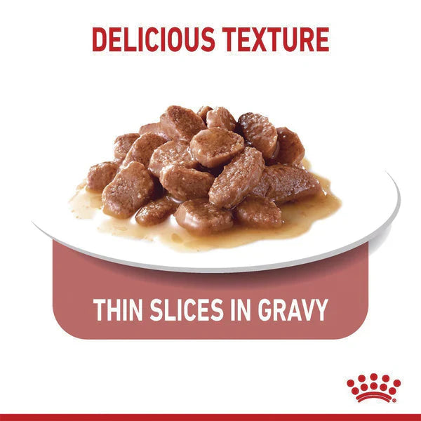 Royal Canin Appetite Control Gravy Wet Cat Food Pouch 85g x 12