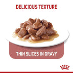 Royal Canin Appetite Control Gravy Wet Cat Food Pouch 85g x 12