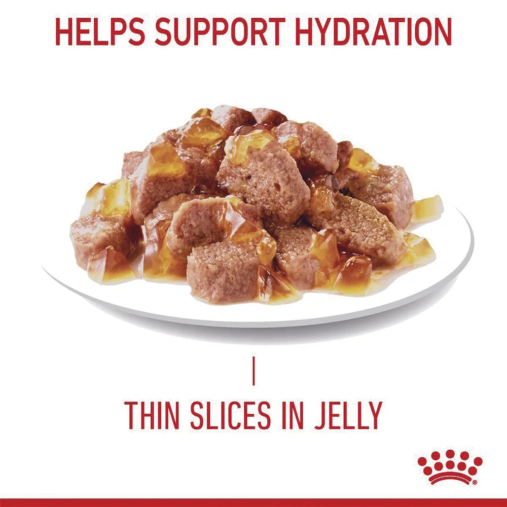 Royal Canin Urinary Care in Jelly Cat Wet Food 12 x 85g