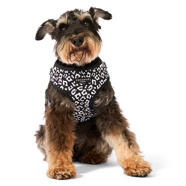 Cocopup London - Adjustable Neck Harness - Black Leopard - X-Small