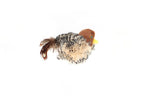GiGwi Melody Chaser Bird
