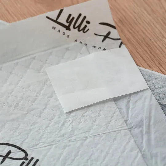 LYLLI PILLY Lylli Pad Premium Training Pads 60*60cm 50pcs