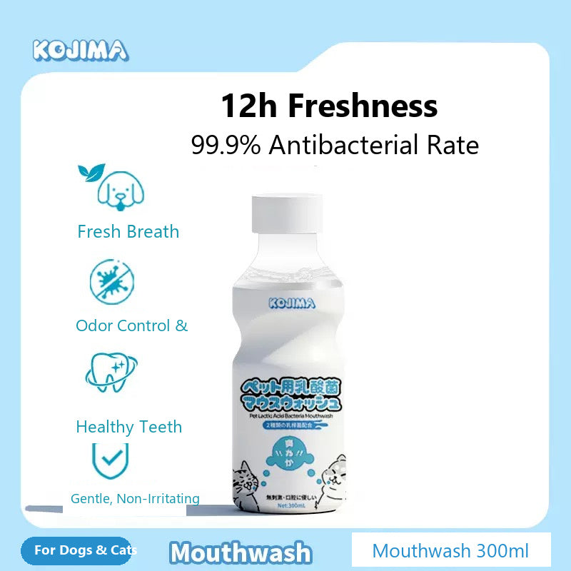 KOJIMA Pet Probiotic Mouthwash 300ml