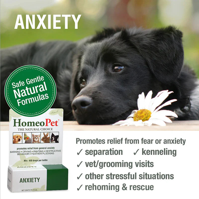 HomeoPet Anxiety