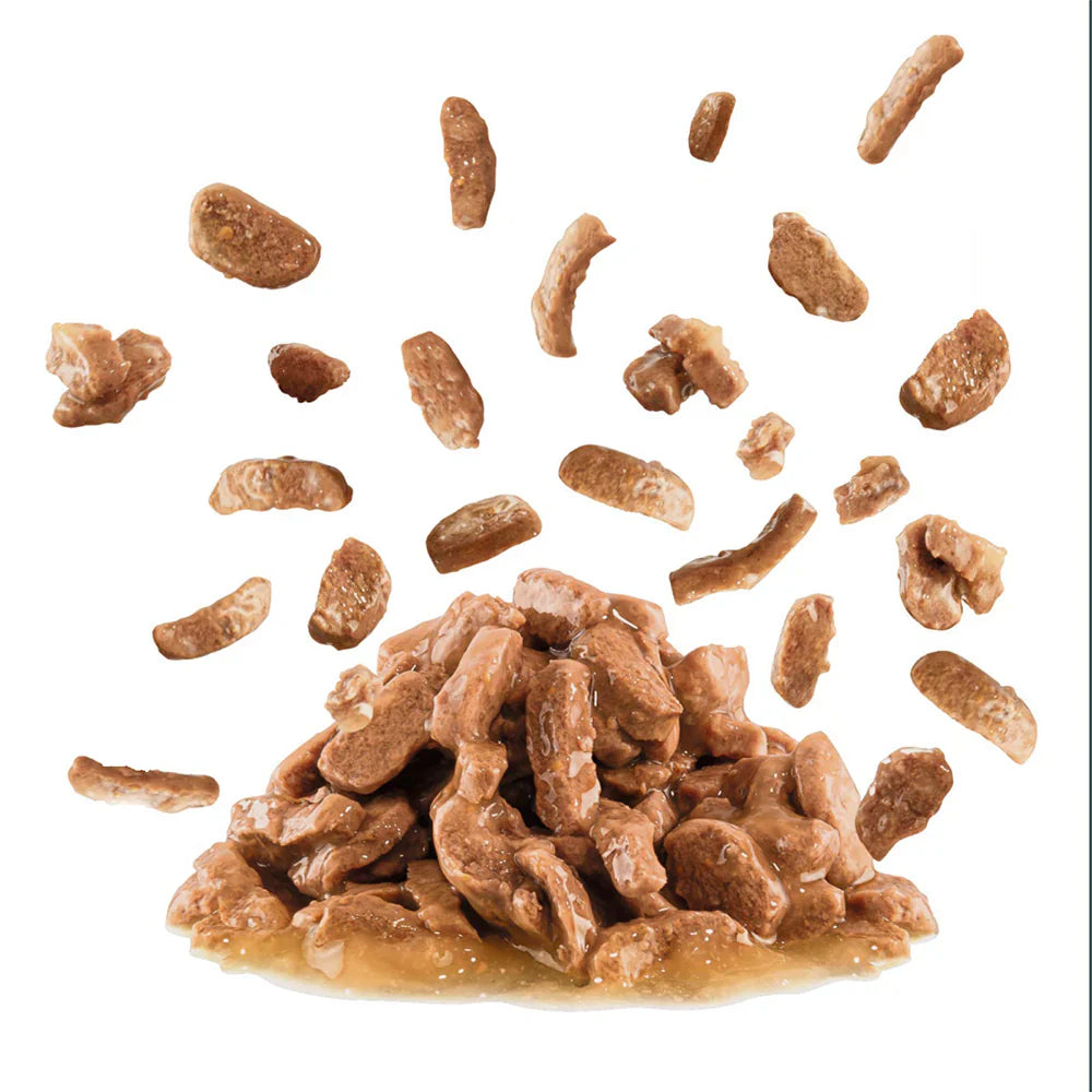 Royal Canin Adult Sensory Taste Wet Cat Food Pouches in Gravy 12 x 85g