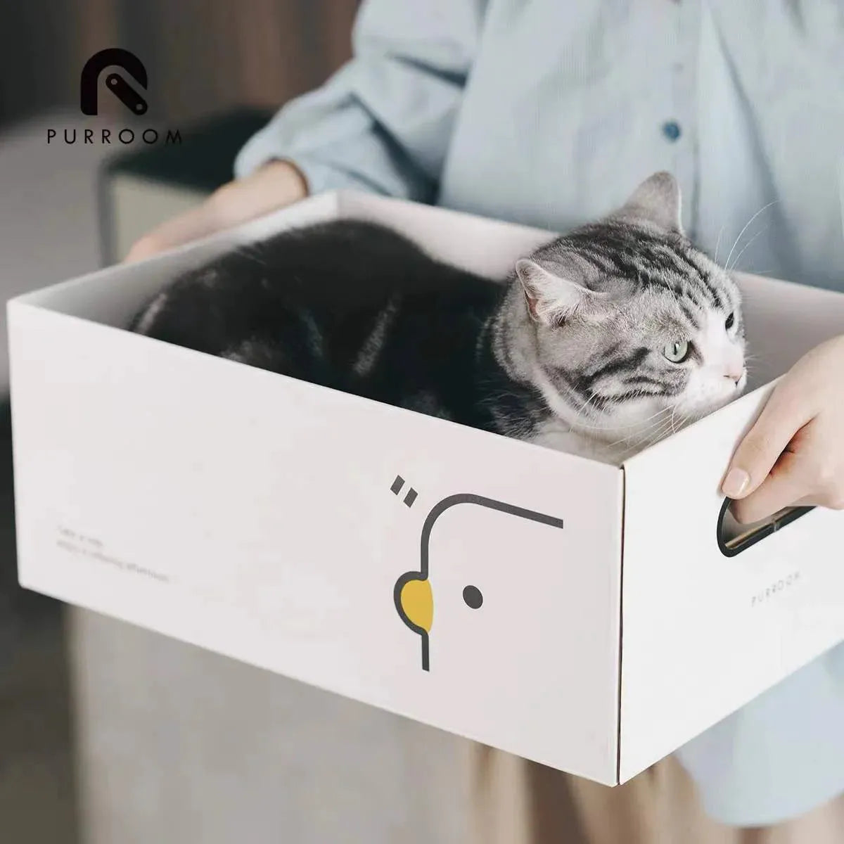 PURROOM New Cat Scratching Box - Chick