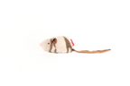GiGwi Melody Chaser Mouse