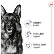 Royal Canin Maxi Adult Wet Dog Food in Gravy 10 x 140g