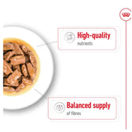 Royal Canin Maxi Adult Wet Dog Food in Gravy 10 x 140g