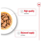 Royal Canin Maxi Adult Wet Dog Food in Gravy 10 x 140g