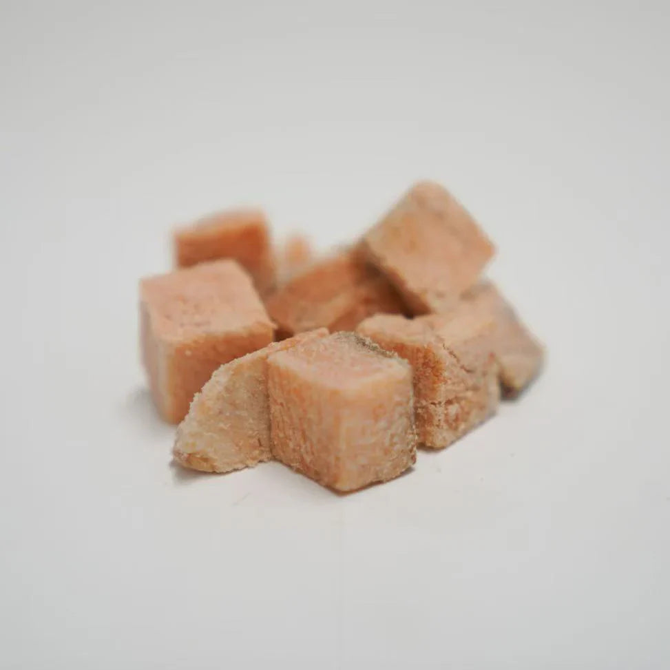 RAFA Raw Freeze-Dried Cat & Dog Treats Human-Grade Tasmanian Salmon Fillet 60g