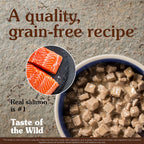 TASTE OF THE WILD Rocky Mountain Chunks In Gravy Pouch 85g