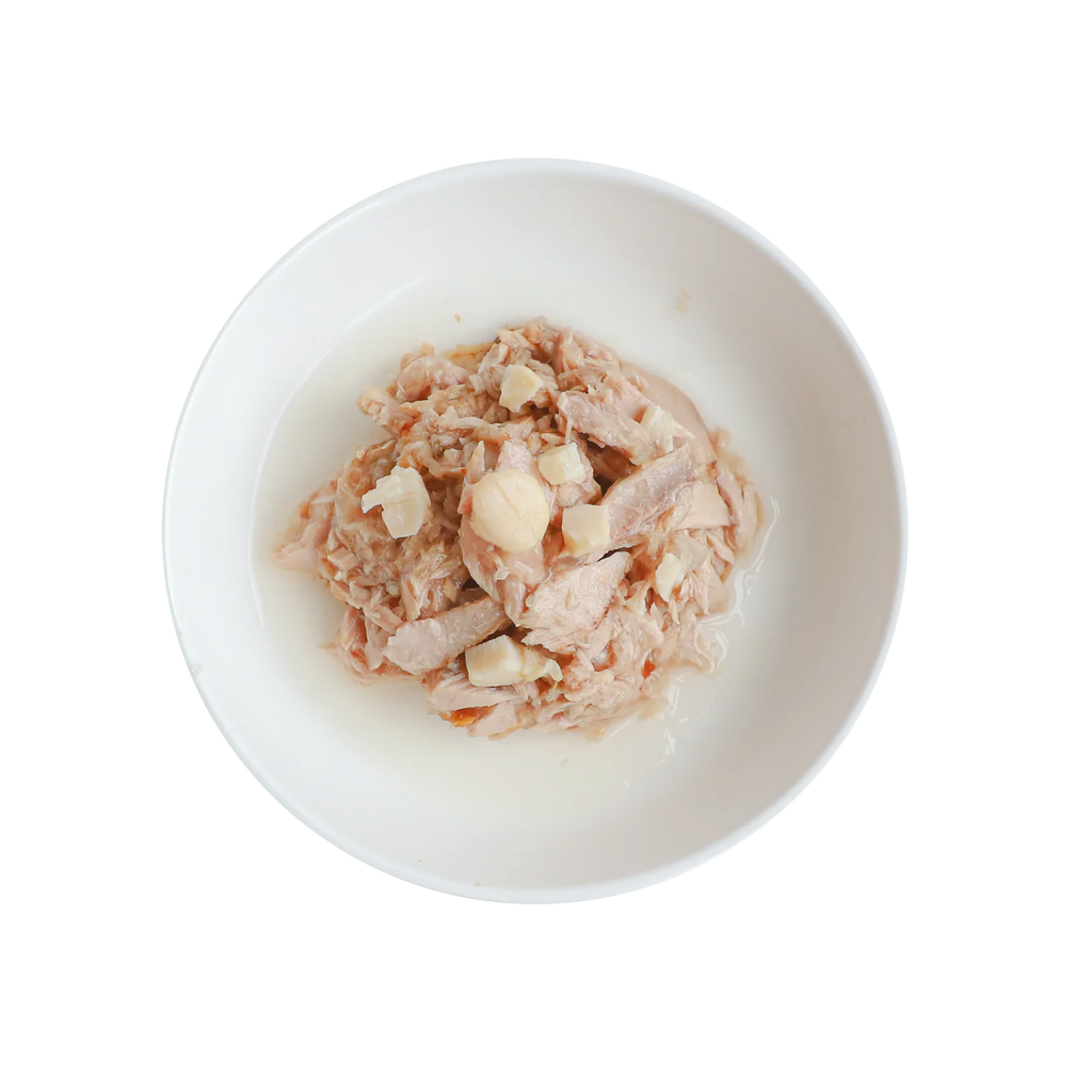 Kit Cat Grain Free Wet Cat Food Can 80g TUNA & SCALLOP