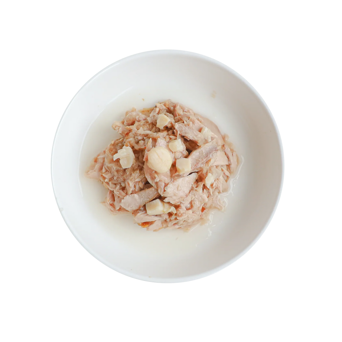 Kit Cat Grain Free Wet Cat Food Can 80g TUNA & SCALLOP